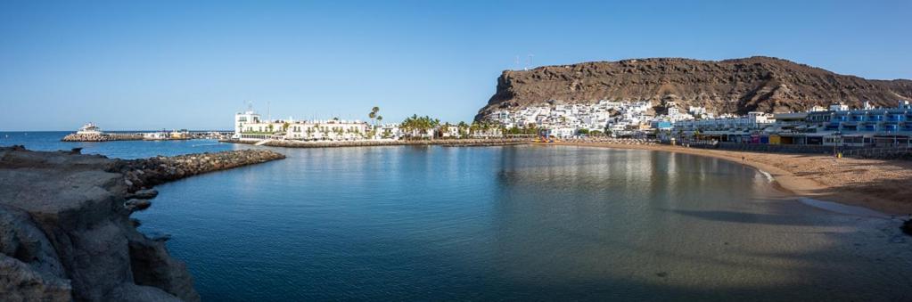 Palmeras Puerto De Mogan