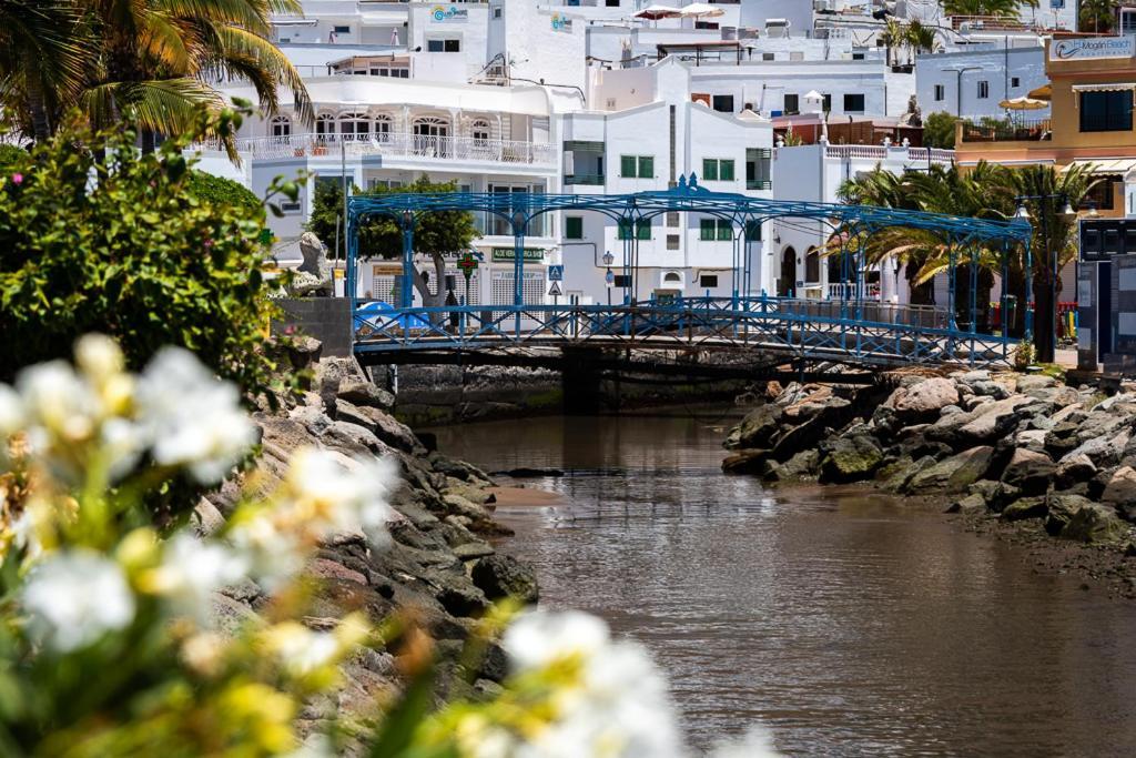 Palmeras Puerto De Mogan